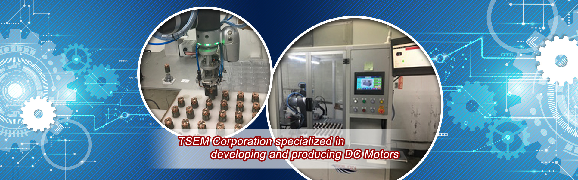 TSEM Corporation